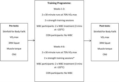 The Effect of Repetitive Whole Body Cryotherapy Treatment on Adaptations to a Strength and Endurance Training Programme in Physically Active Males